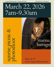 Load image into Gallery viewer, GOURMET IN THE WILD (IGT X LELE EVENT)