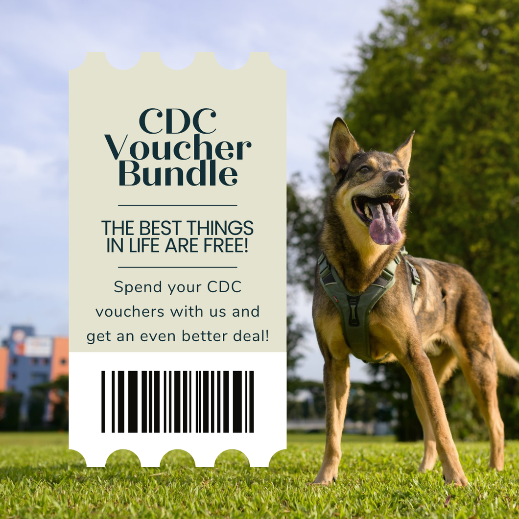 CDC Voucher Store Value Card [Whatsapp us at 80280151 to purchase]