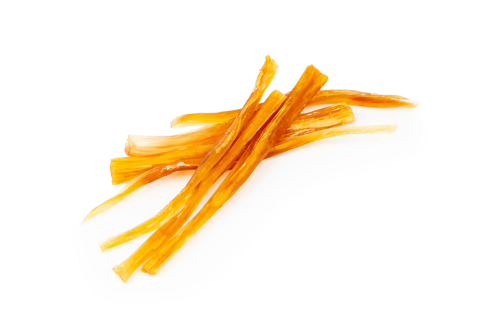 Horse Tendon (Thin) [Air-Dried]