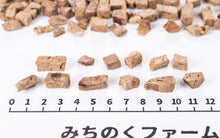 Load image into Gallery viewer, Horse Liver (Small) [Freeze-Dried]
