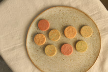 Load image into Gallery viewer, [NEW LOOK] Salmon and Broccoli Circles [Freeze Dried]
