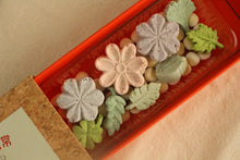 Load image into Gallery viewer, Bundle II - In Good Company｜相伴而行 [Freeze Dried]
