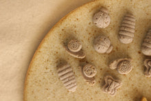 Load image into Gallery viewer, The Chonky Clowder  [Freeze Dried]
