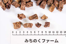 Load image into Gallery viewer, Iwami Pork Lung Cube [Air-Dried]
