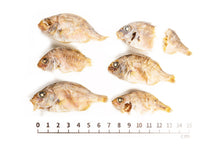 Load image into Gallery viewer, Madadai Fish (Sea Bream) [Air-Dried]
