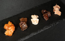 Load image into Gallery viewer, 5-piece Set (Horse meat + kangaroo + silver salmon + Iwami pork + chicken fillet) [Retort]
