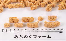 Load image into Gallery viewer, Coarsely Ground Chicken Breast Snack [Air-Dried]
