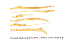 Load image into Gallery viewer, Turkey Achilles [Air-Dried]
